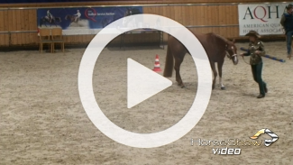 Play video